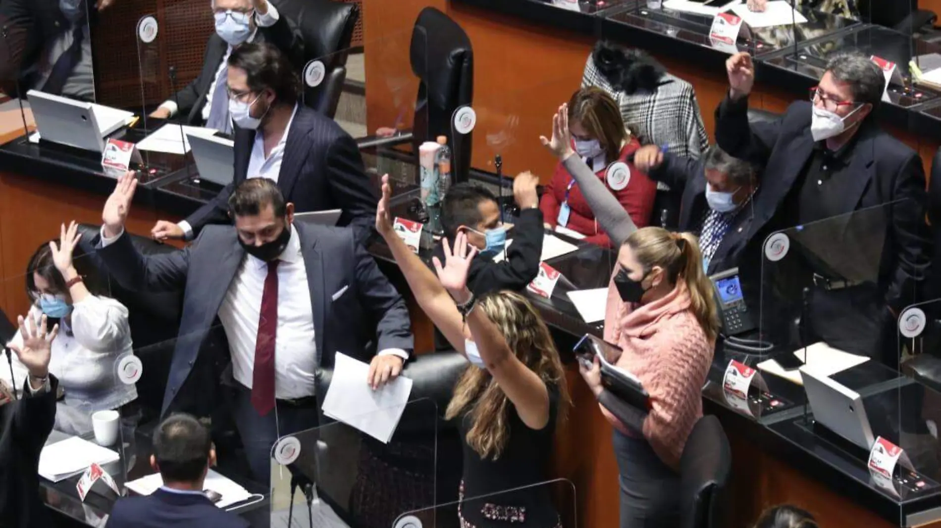 senado miscelanea ROBERTO HERNANDEZ